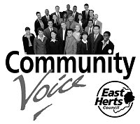 Community Voice graphic