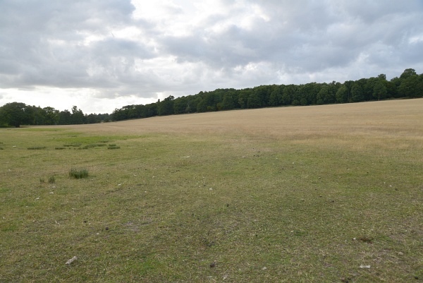 DSC_9021.jpg