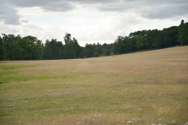 DSC_9027.jpg