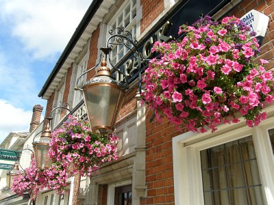 Photo of hanging baskets outside The Woolpack public house