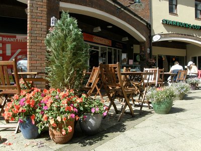 In Bloom in Bircherley Green