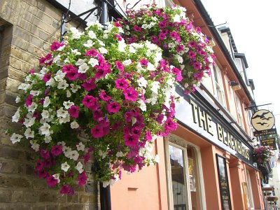 Hanging baskets outside The Blackbirds