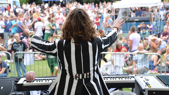 Photo of artist performing at last year's Rock At The Castle